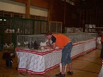 Bild 3 von 4